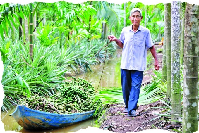 Tỷ phú Kiên Giang, trồng lúa trên cánh đồng 500ha không dấu chân, vườn 3 tầng cây trái- Ảnh 1.